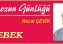 ISTAKOZUN GÜNLÜĞÜ – ÜÇ KELEBEK