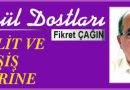 GÖNÜL DOSTLARI – TAKLİT VE TAĞŞİŞ ÜZERİNE