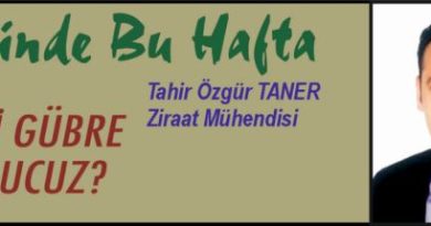 Zeytinde Bu Hafta – HANGİ GÜBRE DAHA UCUZ?