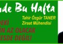 ZEYTİNDE BU HAFTA – ÖNÜMÜZDEKİ SENE ZEYTİN AZ OLACAK AMA HERKES DE DEĞİL!